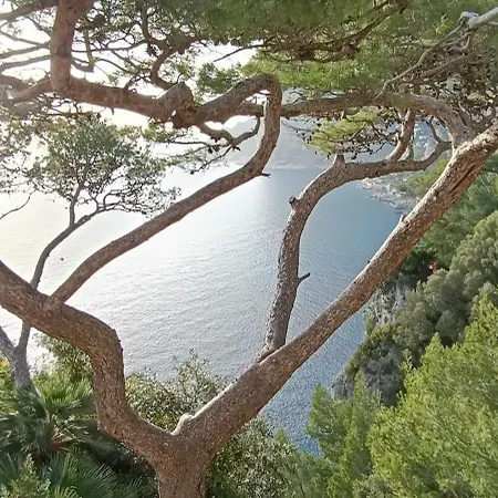 Apartment Maison Saint Michael Capri