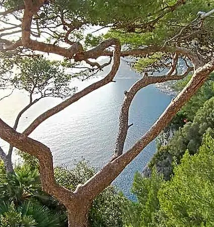 Saint Michael Lägenhet Capri