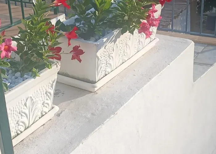 Saint Michael Capri Capri